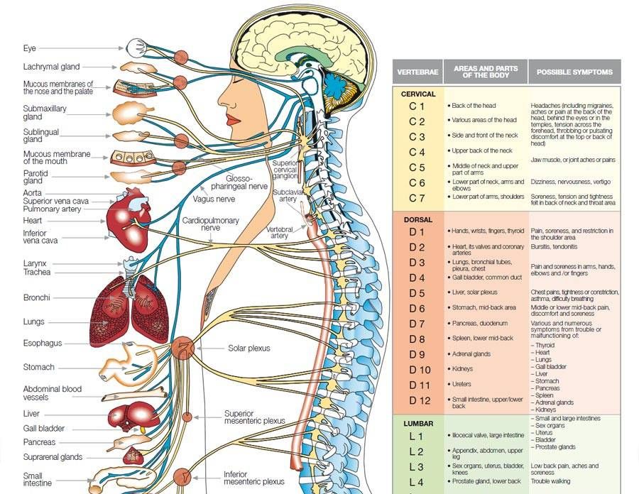 concussions