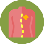 spinal correction