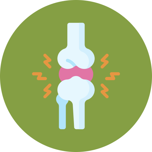 Corporate Wellness Training Program 14 Joint Pain
