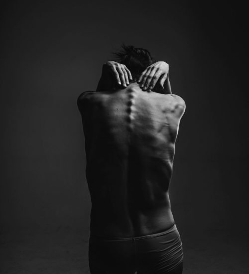spinal cord